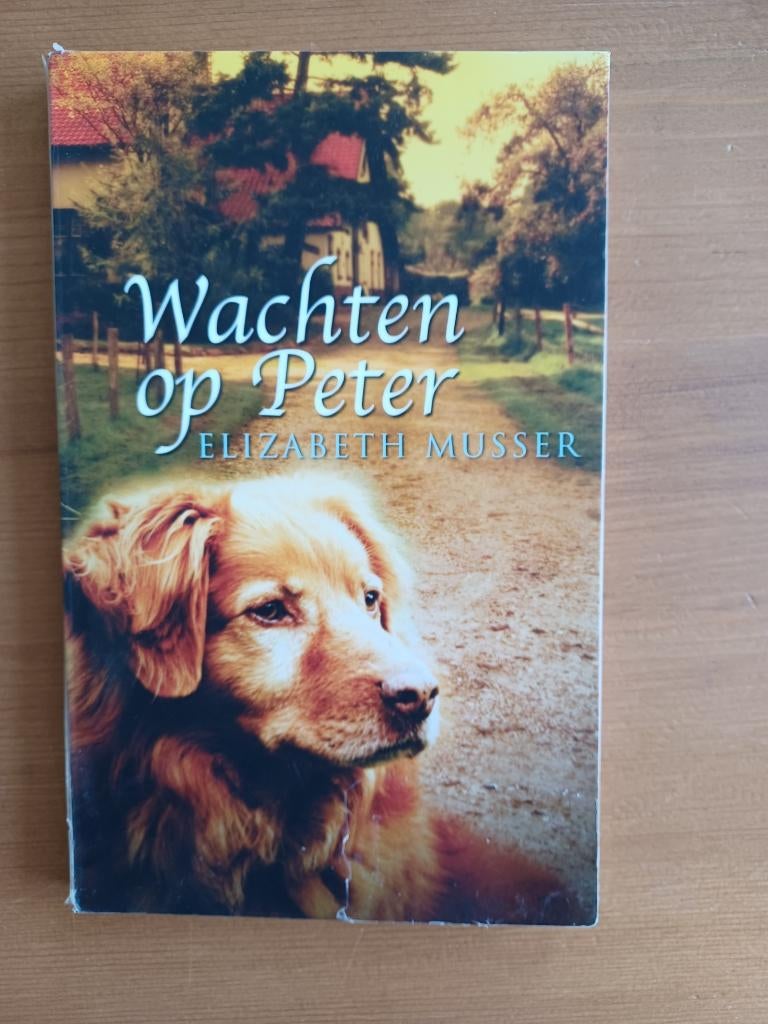Wachten op Peter, Boeken, Gelezen, Ophalen of Verzenden, Elizabeth Musser, Amerika