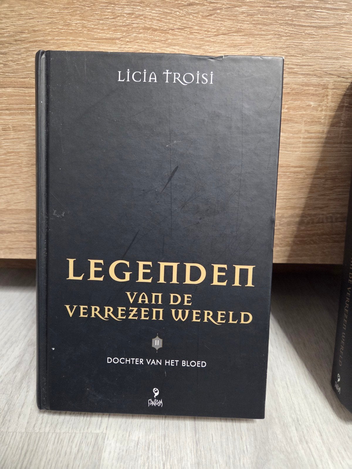 De Legenden van de Verrezen Werelden: Dochter van het Bloed, Boeken, Fantasy, Gelezen, Ophalen of Verzenden