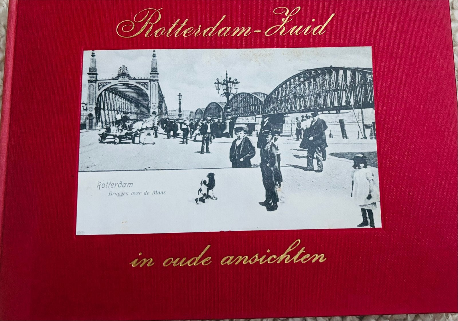 Rotterdam-Zuid in oude ansichten - Bruggen over de Maas, Boeken, Ophalen of Verzenden, 20e eeuw of later, Zo goed als nieuw