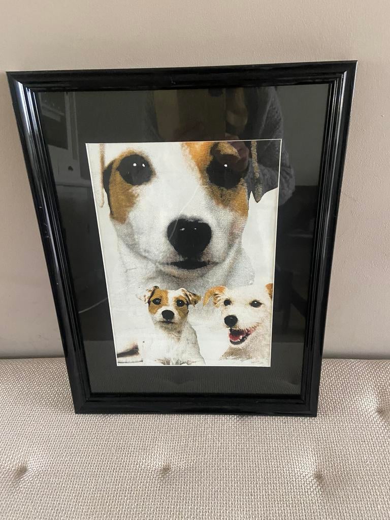 Lijst met jack russell afbeeldingen, Ophalen, Zo goed als nieuw