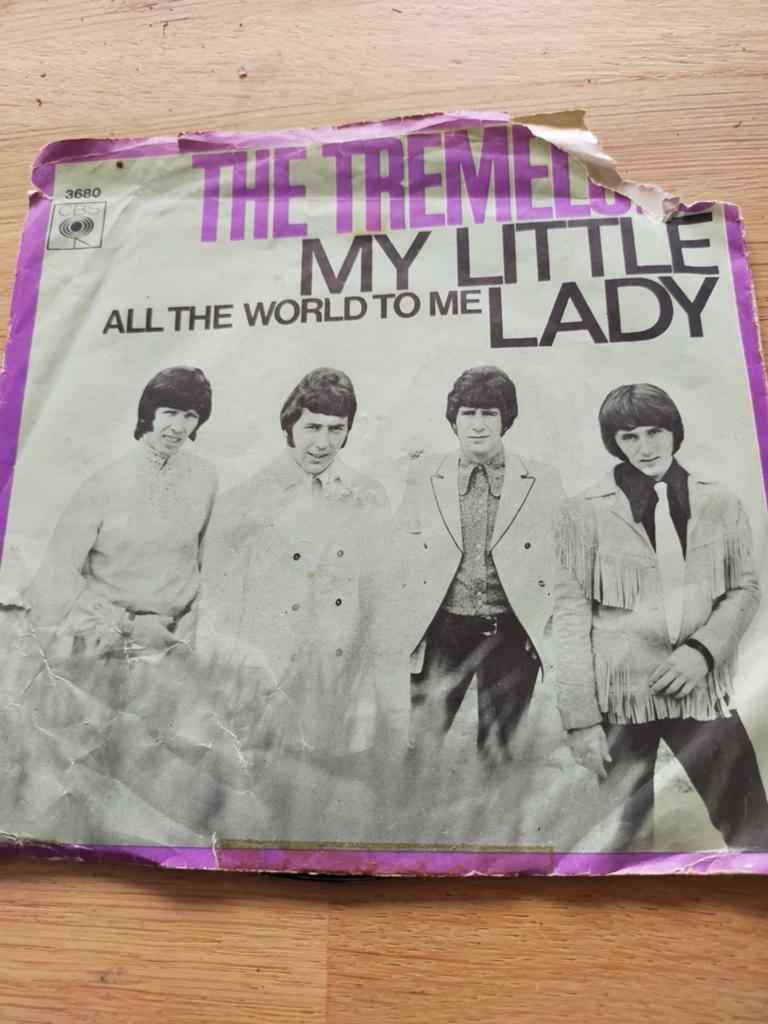 The Tremeloes , my little lady, Ophalen of Verzenden, Zo goed als nieuw, Pop