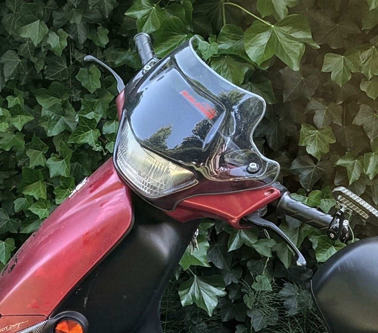 Peugeot Buxy windscherm - Identiek en zeldzaam, Ophalen of Verzenden, Gebruikt, Overige typen, Peugeot