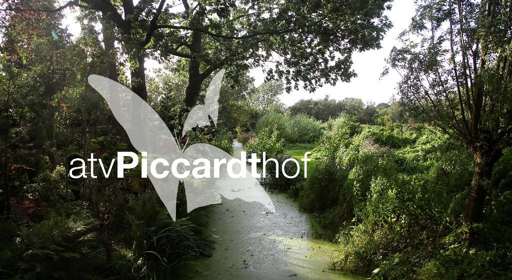 Gezocht: tuinhuisje op Piccardthof, Tuin en Terras, Tuinhuizen, Ophalen, Gebruikt, 400 cm of meer, 500 cm of meer