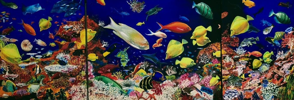 Onder de zee, Ophalen, Zo goed als nieuw