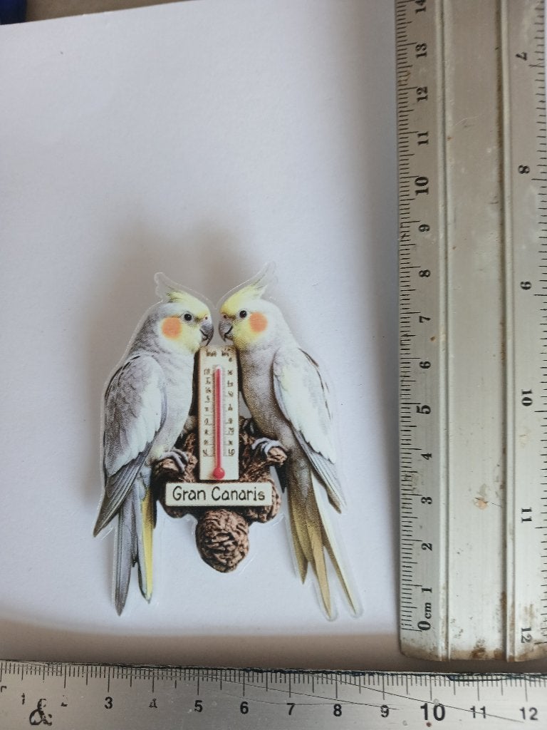 Koppel valkparkieten op reis in gran canaria, Overige materialen, 4 tot 7 cm, Verzenden, Wit