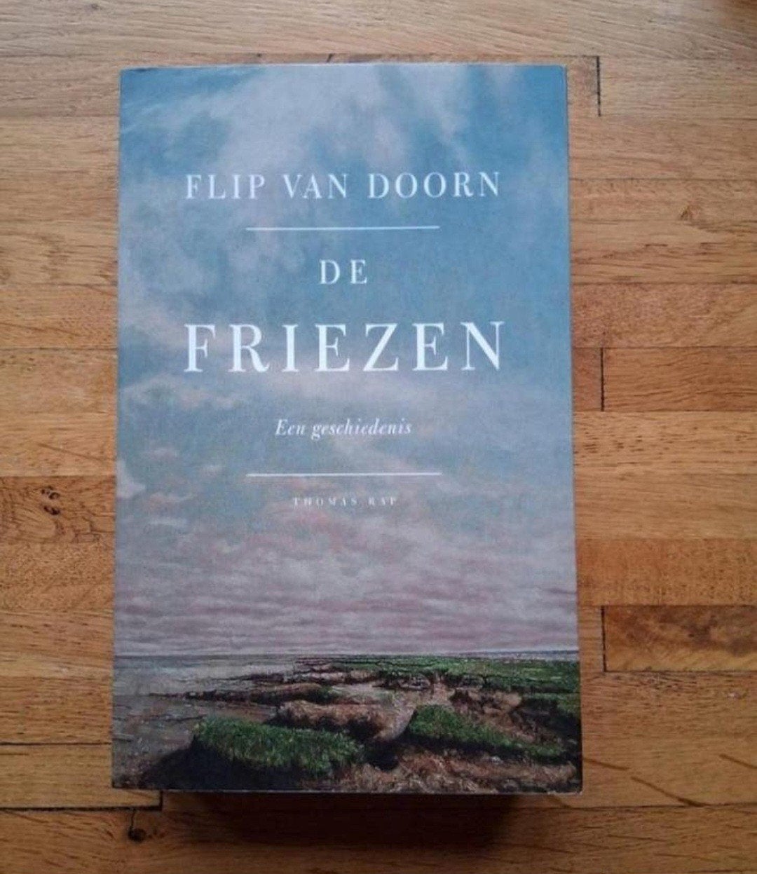De friezen
Een geschiedenis

Een reis door de geschiedenis, Ophalen of Verzenden, Zo goed als nieuw