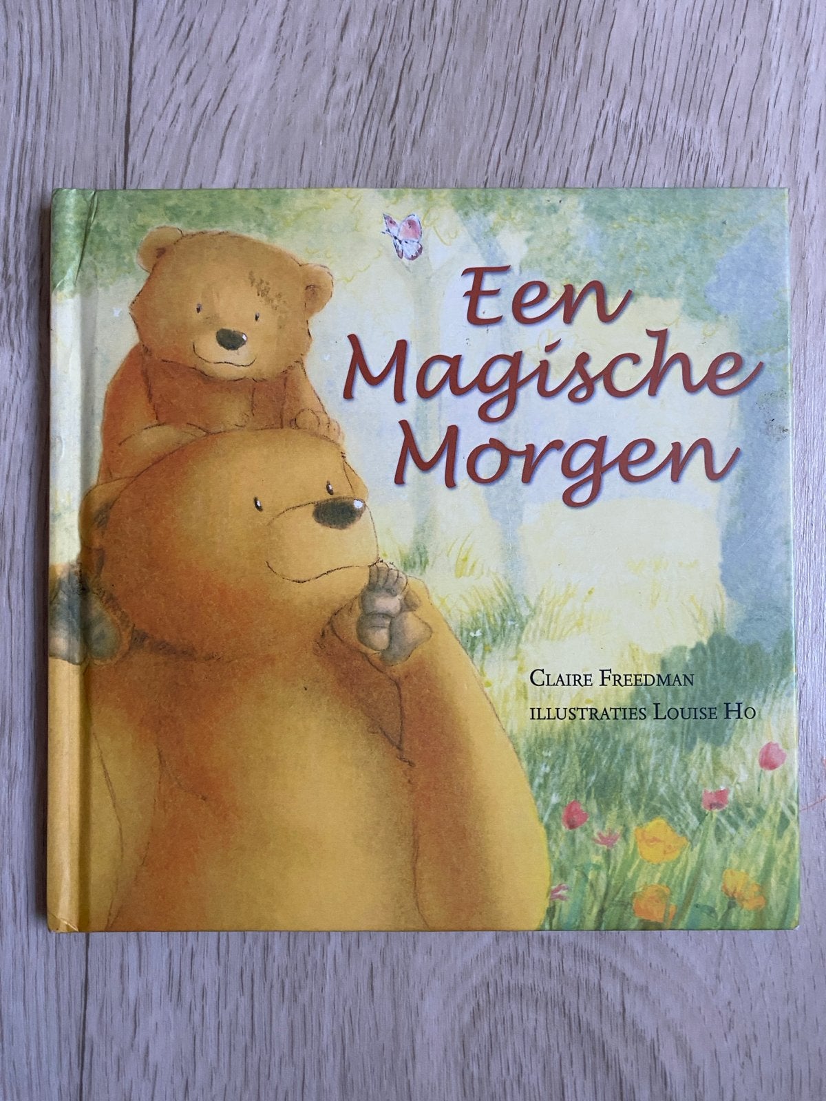 Een Magische Morgen - Prentenboek voor kinderen, Fictie algemeen, Jongen of Meisje, Ophalen of Verzenden, Zo goed als nieuw