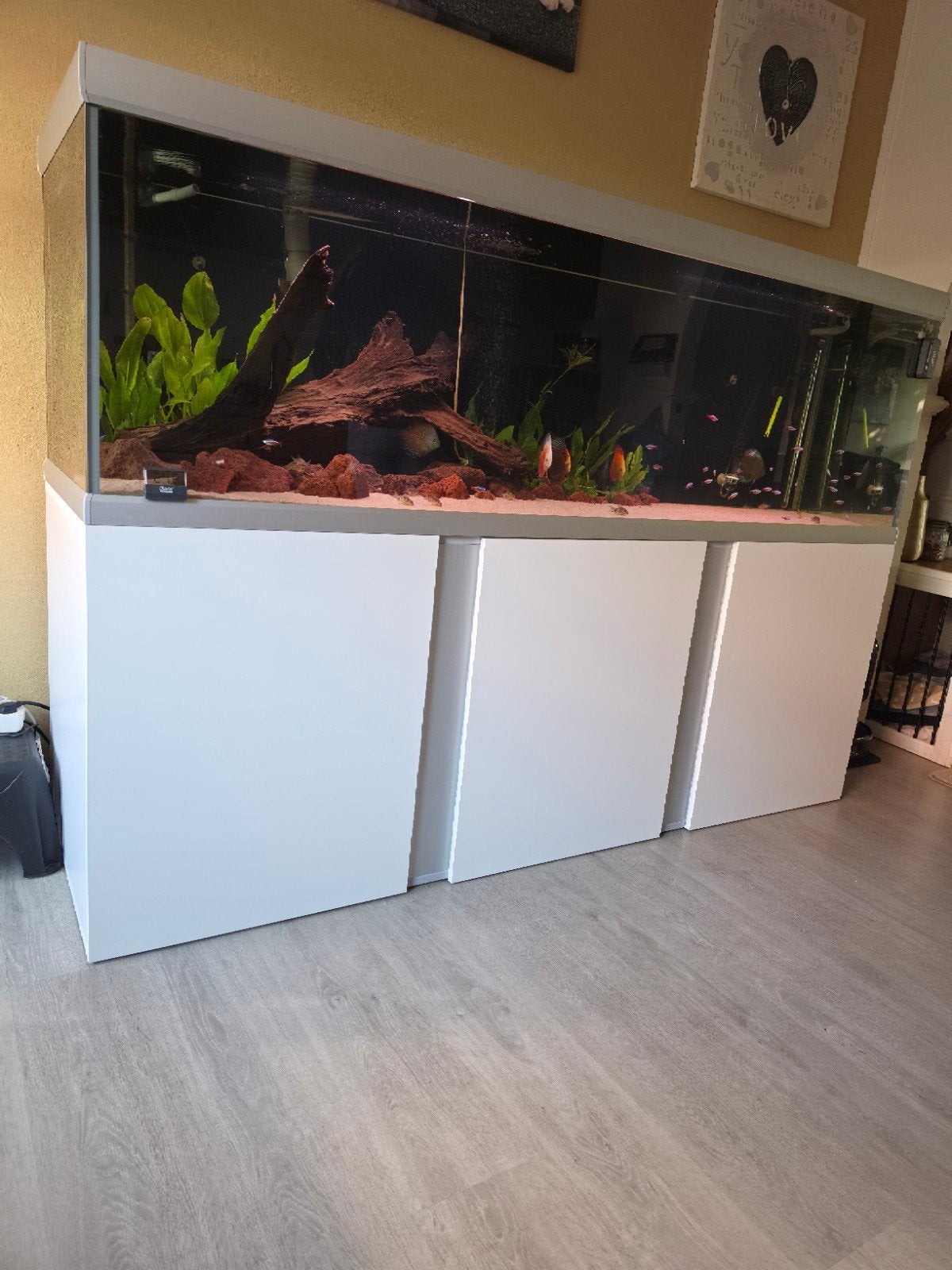 200x60x67 aqaurium, Dieren en Toebehoren, Ophalen