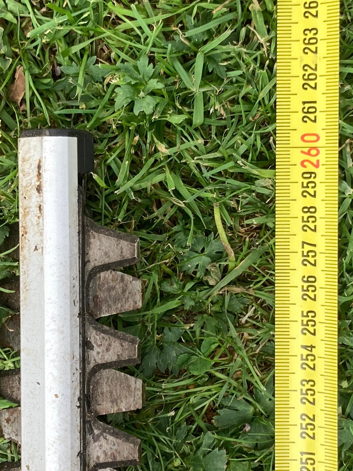 Te koop: Heggenschaar, Tuin en Terras, Ophalen, Gebruikt, Elektrisch