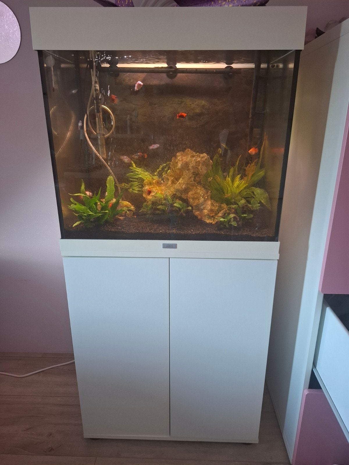 Juwel lido 120 wit met externe jbl filter, Dieren en Toebehoren, Vissen | Aquaria en Toebehoren, Ophalen, Inclusief vissen, Juwel