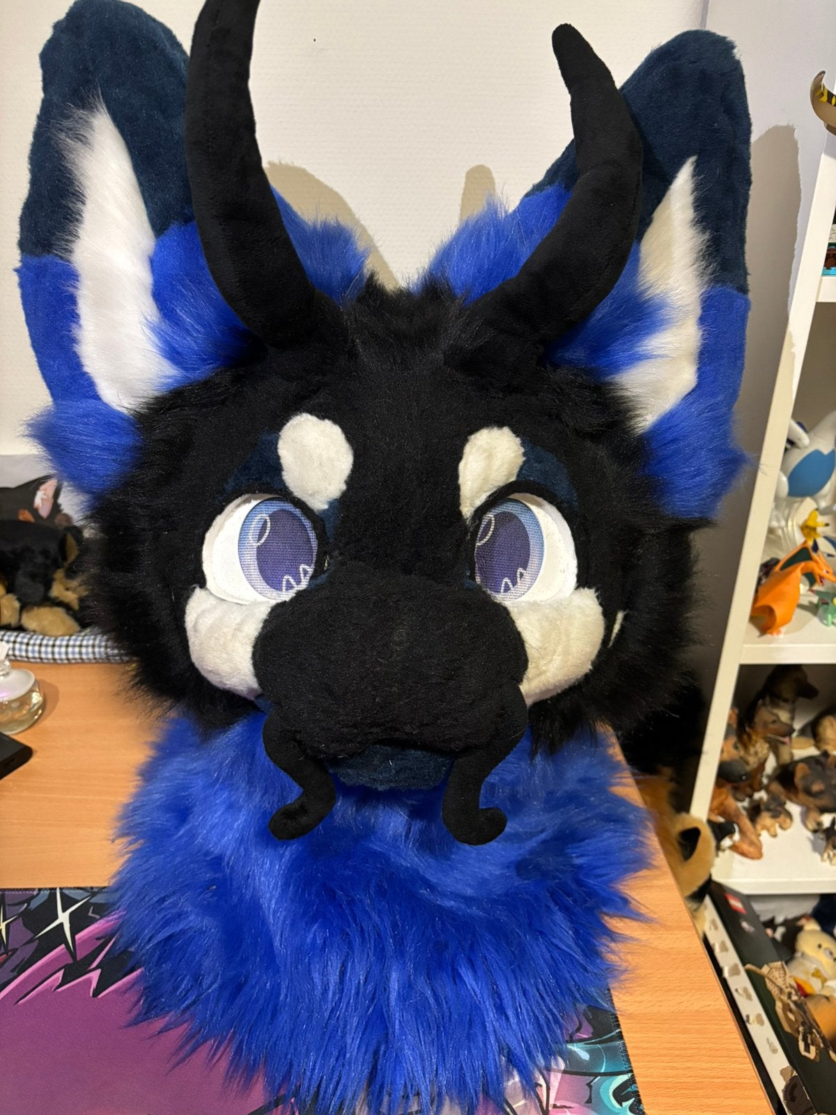 Fursuit, Ophalen of Verzenden, Zo goed als nieuw, Overige typen