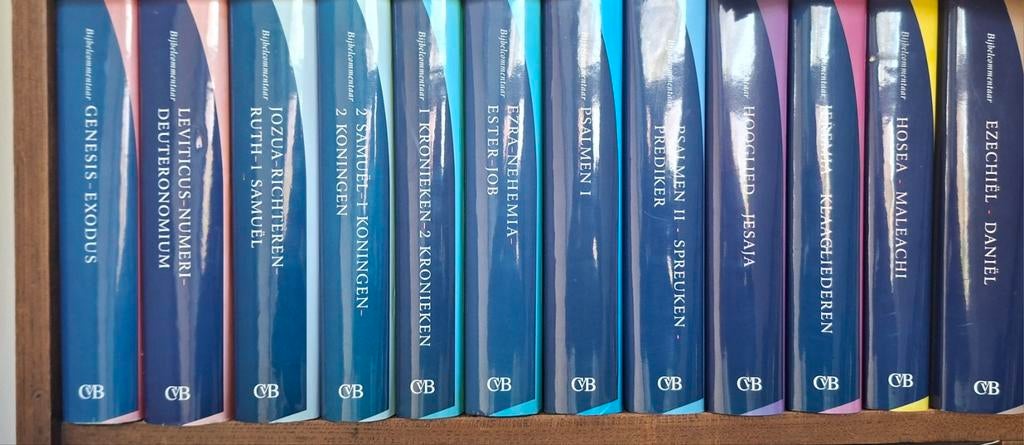 12-delige Studiebijbel Oude Testament, Boeken, Ophalen of Verzenden