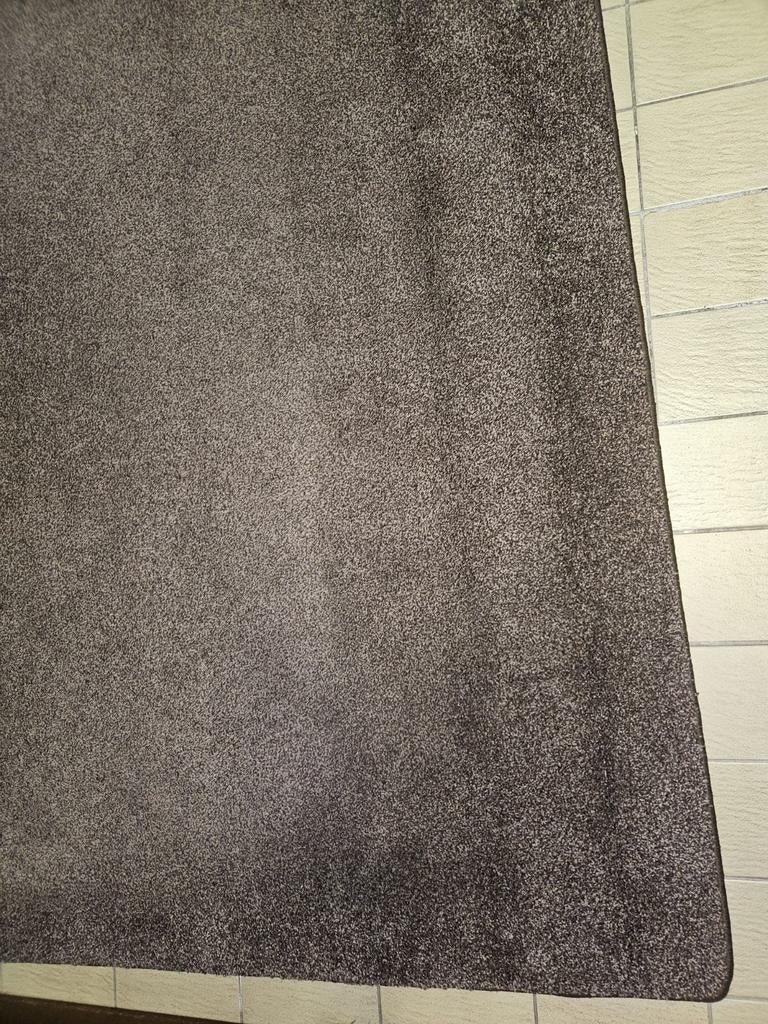 Vloerkleed 300 x 200 zgan bruin, Bruin, 200 cm of meer, Ophalen of Verzenden, Zo goed als nieuw