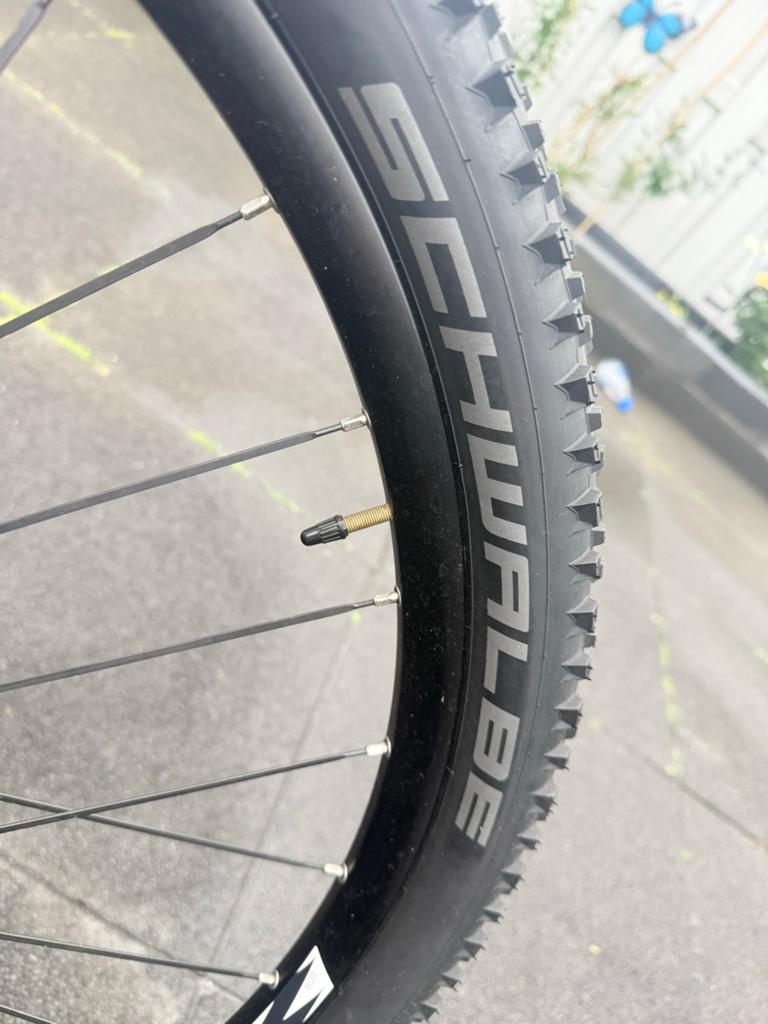 Zannata full carbon ZGN met Schijfremmen en Shimano XT, Gebruikt, Heren, 53 tot 57 cm, Ophalen