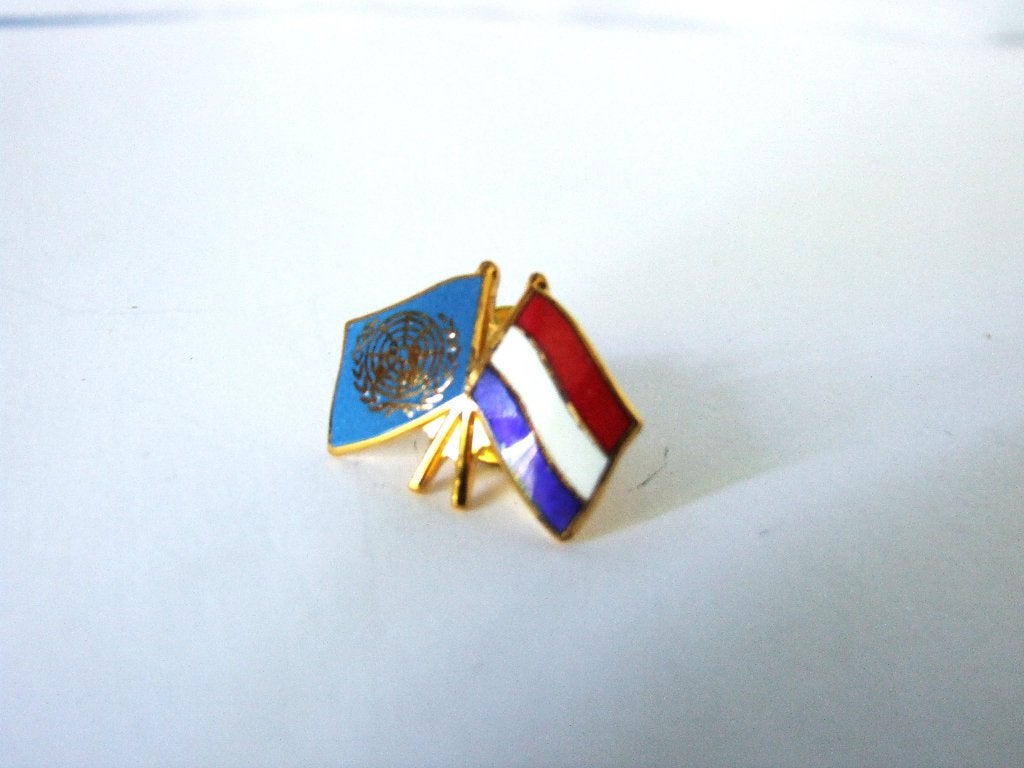 Embleem,Pin,Verenigde,Naties,UN,Nederland, Verzenden, Overige soorten, Nederland, Embleem of Badge