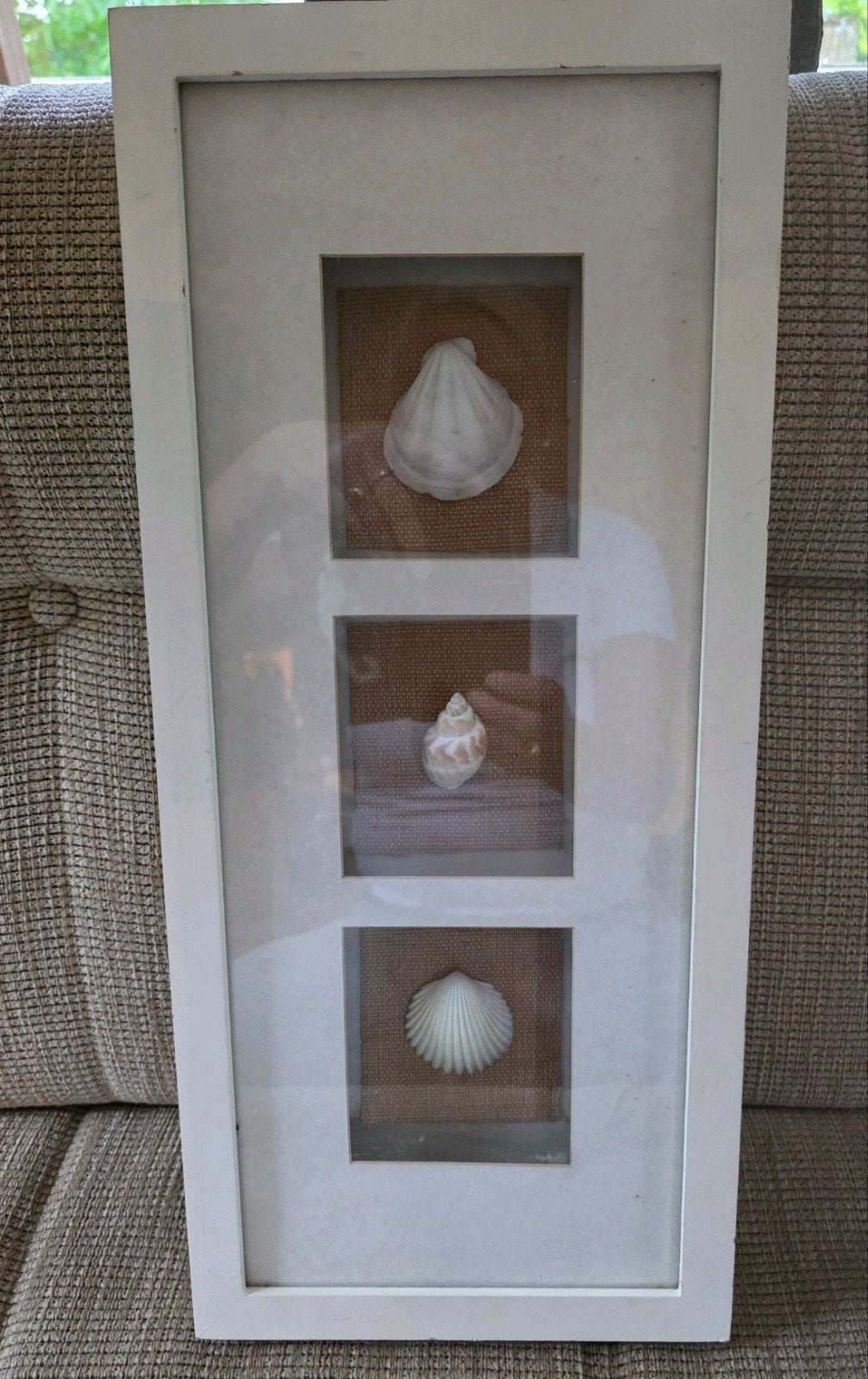 lijst met schelpen, Huis en Inrichting, Ophalen of Verzenden, Hout
