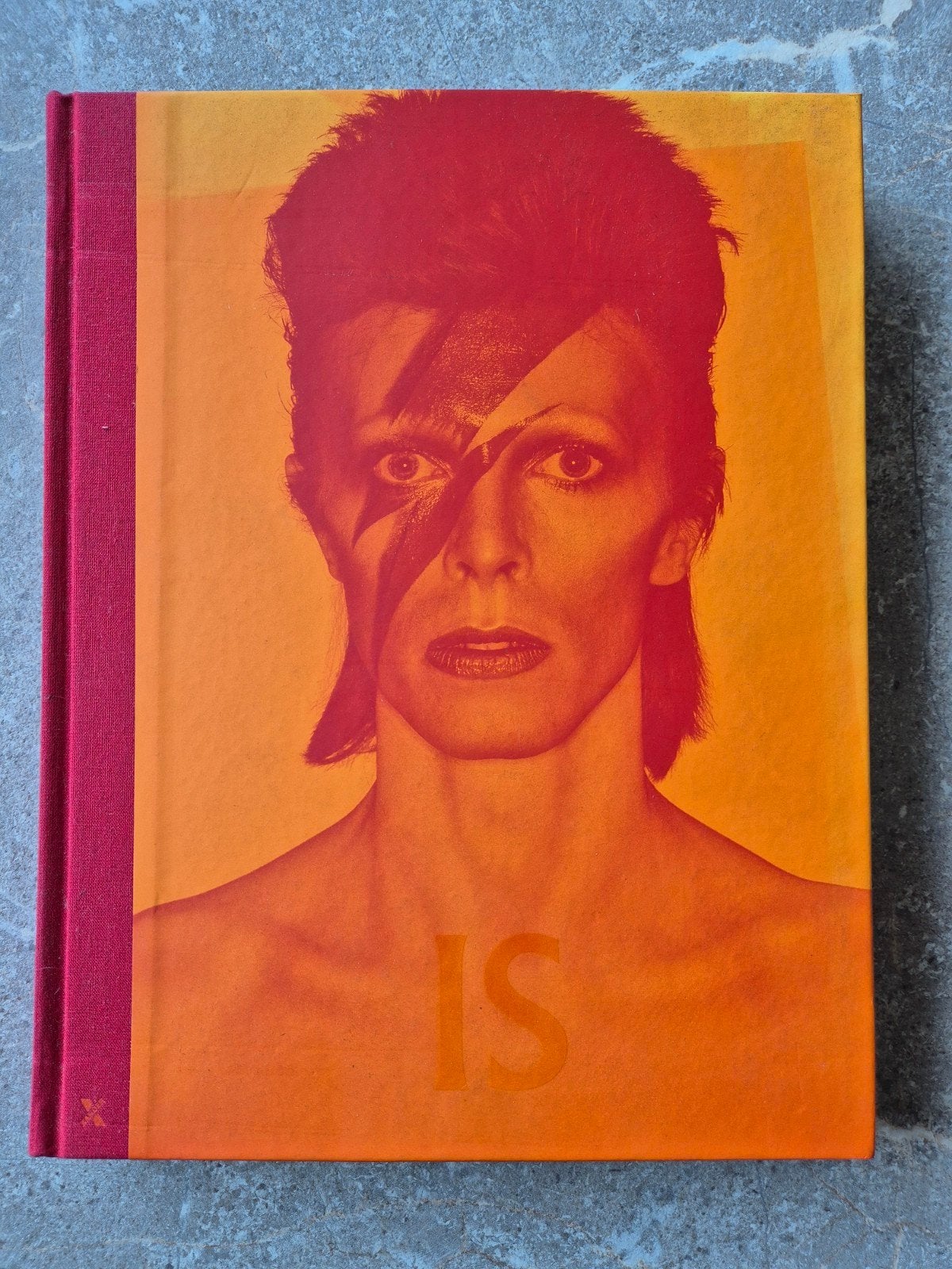 David Bowie IS - Fotoboek met iconische beelden, Ophalen of Verzenden, Zo goed als nieuw, Diverse fotografen, Europa overig