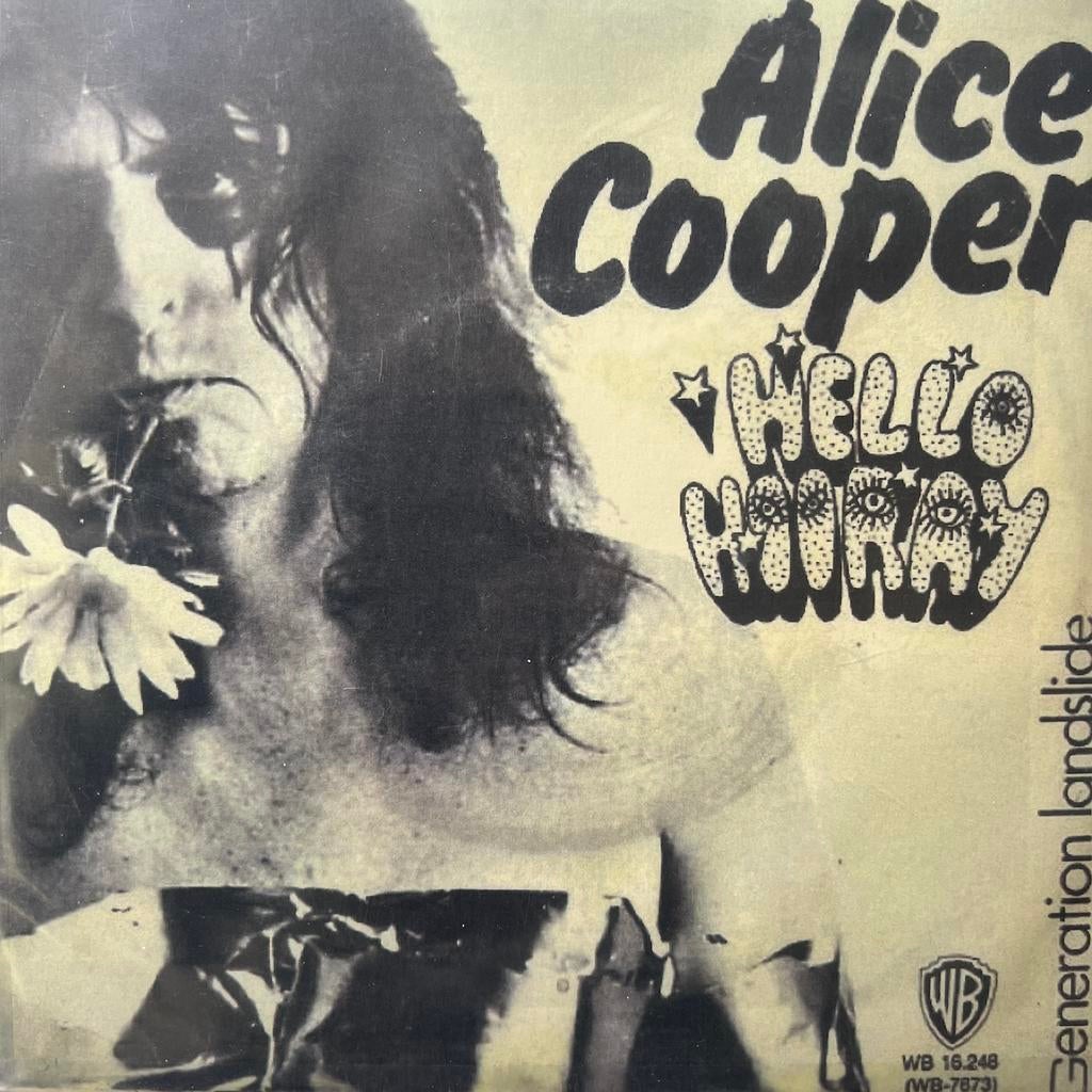 Alice Cooper - Hello Hooray, Ophalen of Verzenden, Gebruikt, Pop