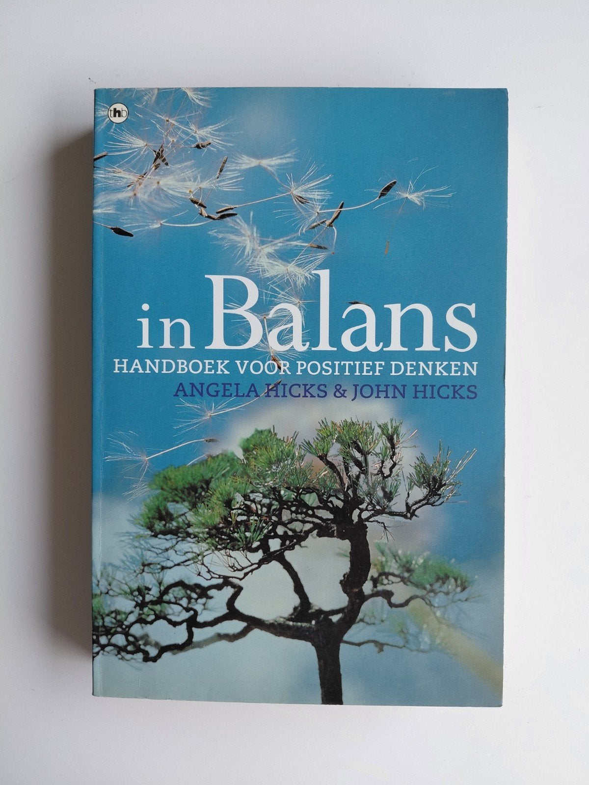 A. Hicks - In balans, Ophalen of Verzenden, Zo goed als nieuw, A. Hicks; J. Hicks