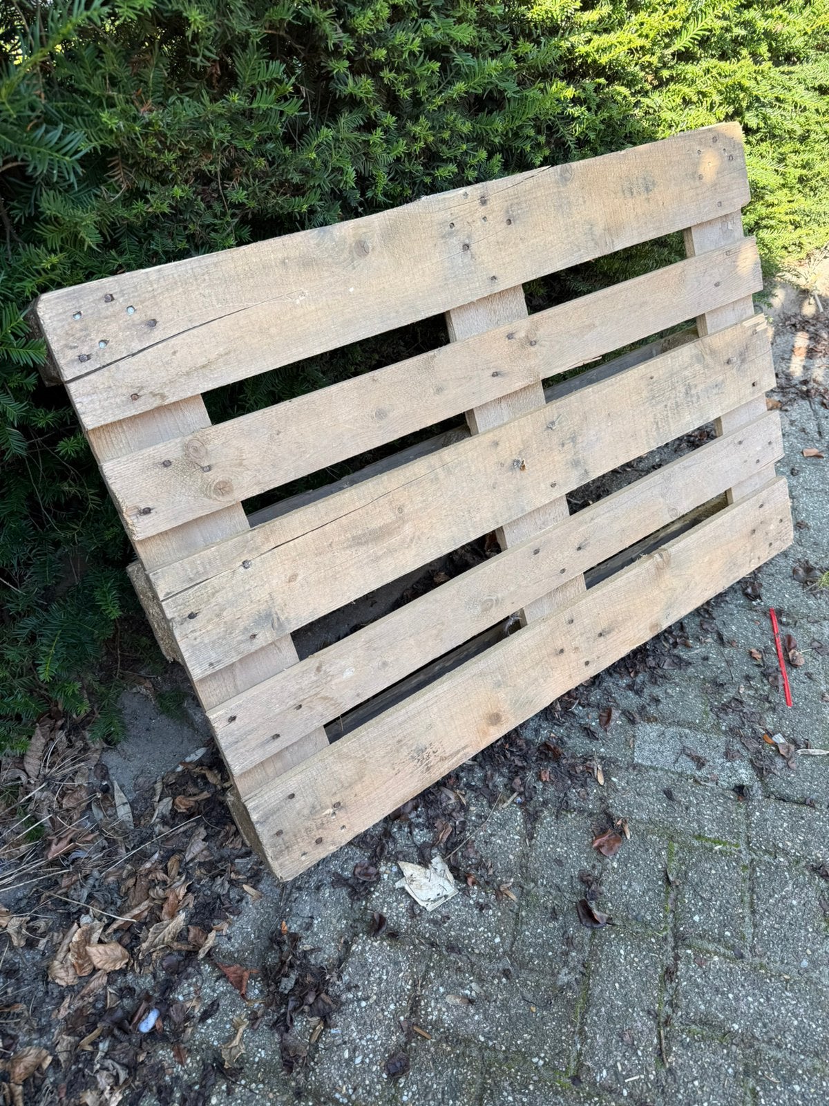 2x pallet gratis afhalen, Ophalen, Gebruikt, 50 mm of meer, Pallet
