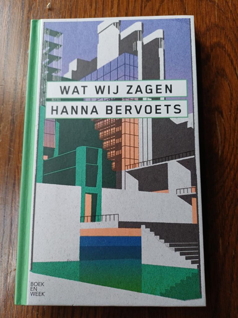 L1 Wat Wij Zagen - Hanna Bervoets (Boek en Week), Boeken, Ophalen of Verzenden, Zo goed als nieuw, Hanna Bervoets, Nederland