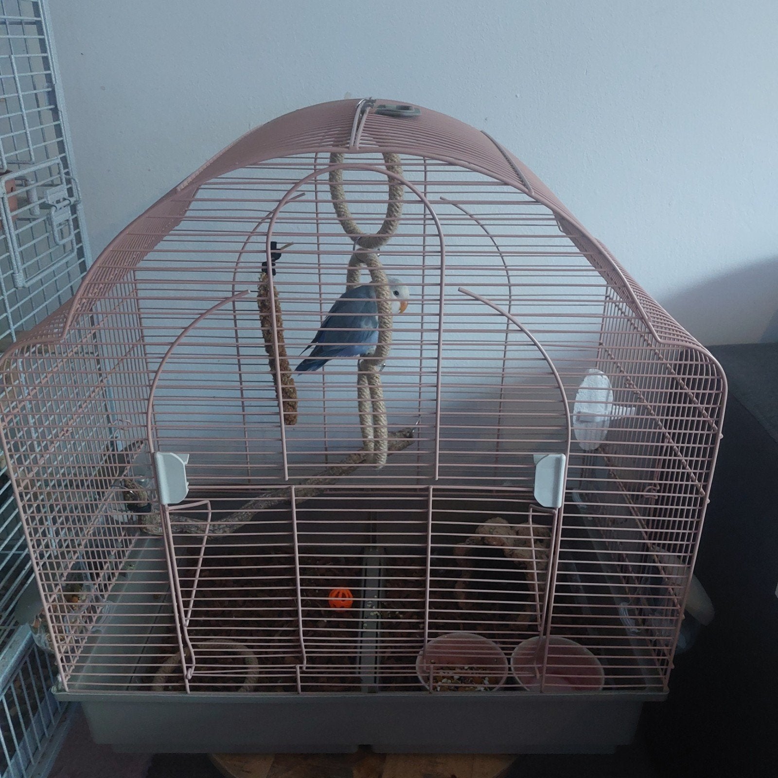 Oud roze/beige vogelkooi z.g.a.n., Ophalen, Zo goed als nieuw, Metaal, Vogelkooi