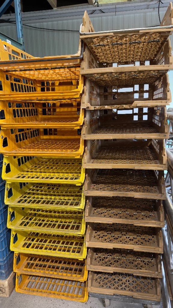 Broodkratten, Ophalen, Gebruikt, 40 tot 60 cm, Minder dan 35 cm