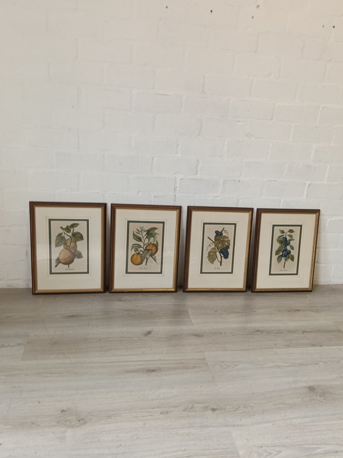 Set van vintage 4 botanische prenten: fruit en druiven, Ophalen
