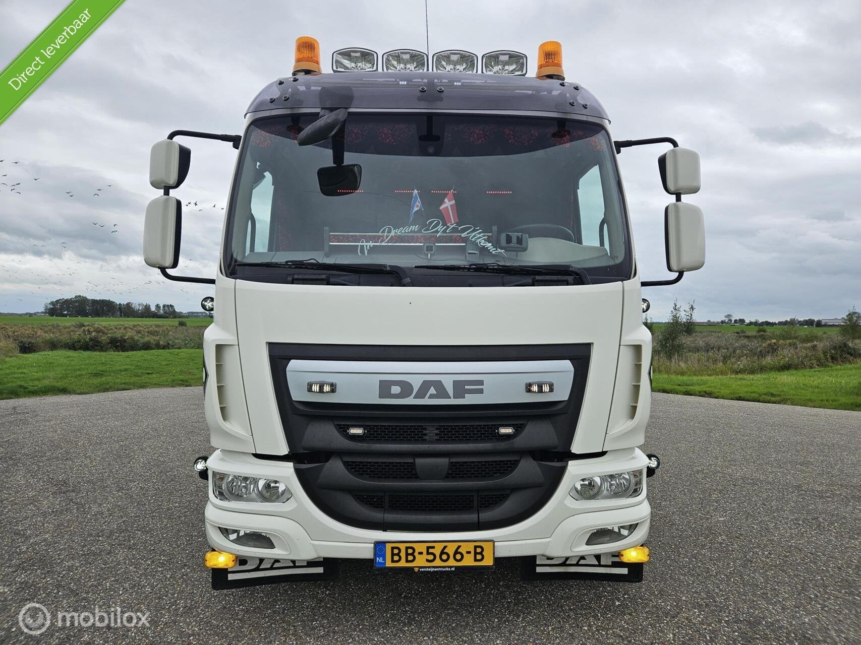 DAF LF 210 EURO 6|OPRIJTRUCK|SLAAPCABINE|STANDKACHEL|ZEER CO, Achterwielaandrijving, DAF, BTW verrekenbaar, Overige kleuren