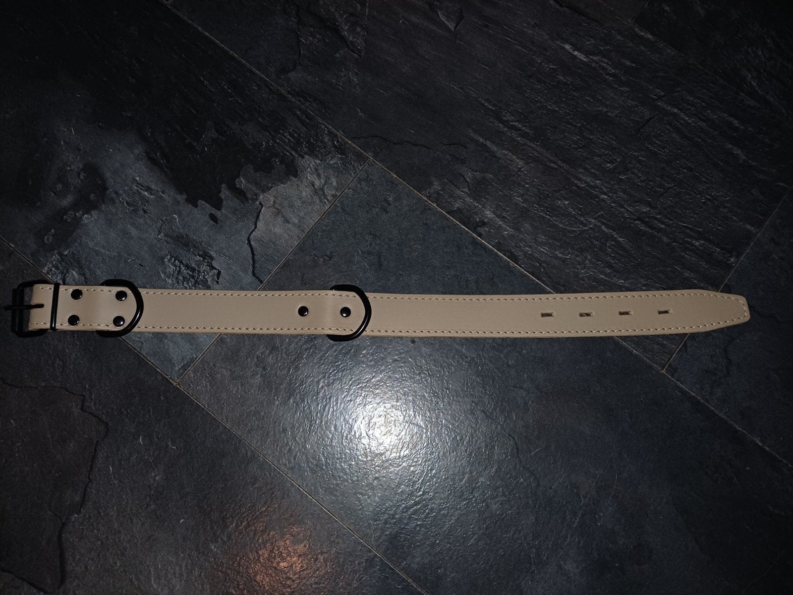 Hondenhalsband 65 cm, Ophalen of Verzenden, Nieuw