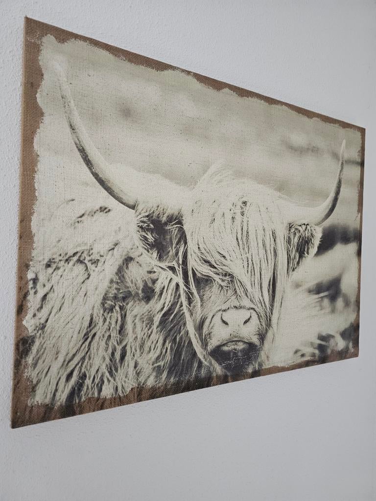 Mooie Schotse hooglander op jute 78x 58 cm, Ophalen, 50 tot 75 cm, Zo goed als nieuw, Schilderij