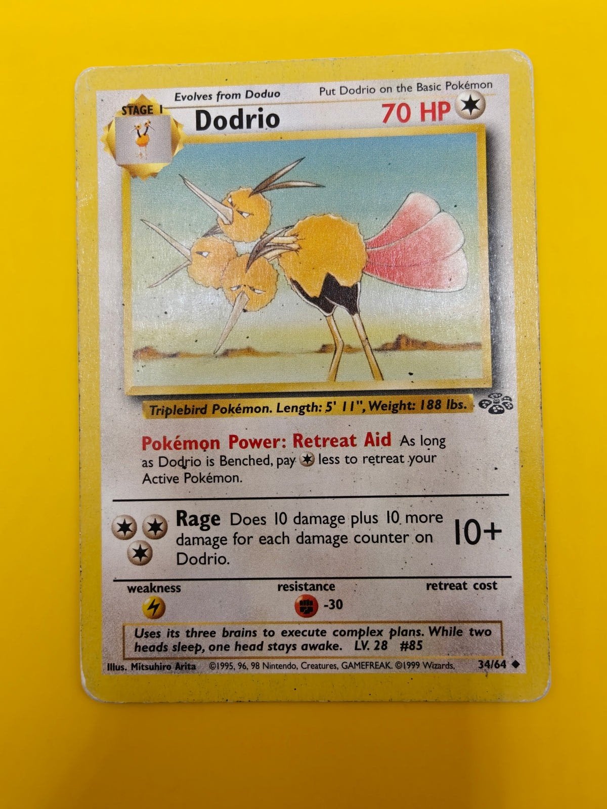 Dodrio - Jungle, Verzenden, Zo goed als nieuw