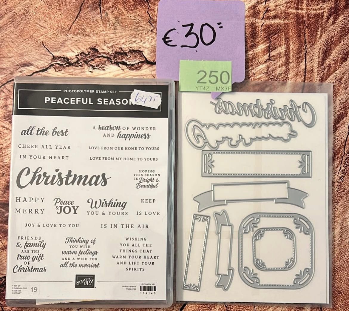Heel veel stampin’up, Ophalen of Verzenden, Zo goed als nieuw, EZ-mounted stempel