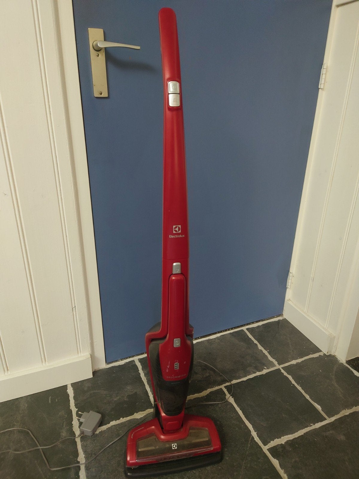 Electrolux ErgoRapido Animal steelstofzuiger, nette staat!, Witgoed en Apparatuur, Stofzuigers, Overige merken, Gebruikt, Ophalen of Verzenden
