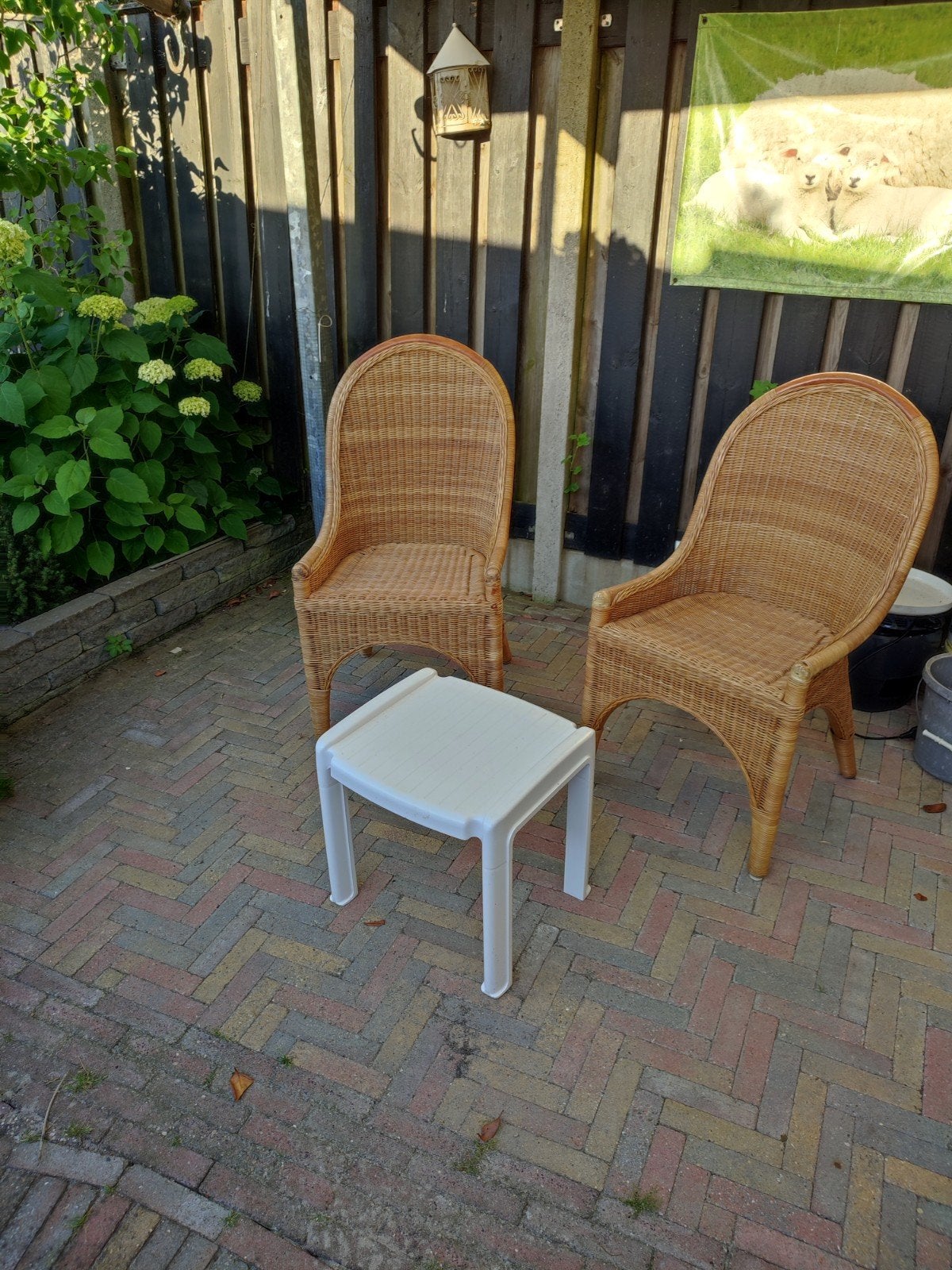 Twee rotan stoelen met hoge rugleuning, Ophalen, Gebruikt