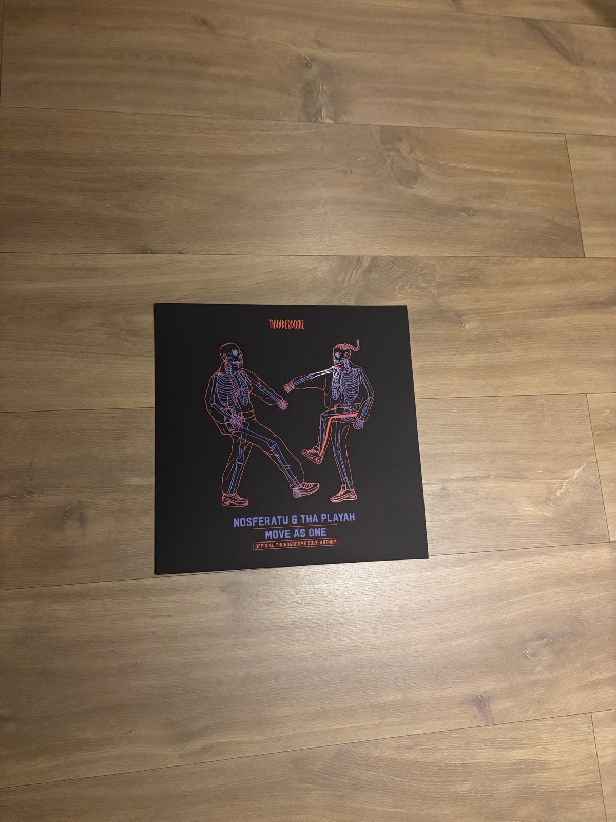 Nosferatu & Tha Playah - Move As One (Thunderdome), LP, Overige genres, Ophalen of Verzenden, 12 inch