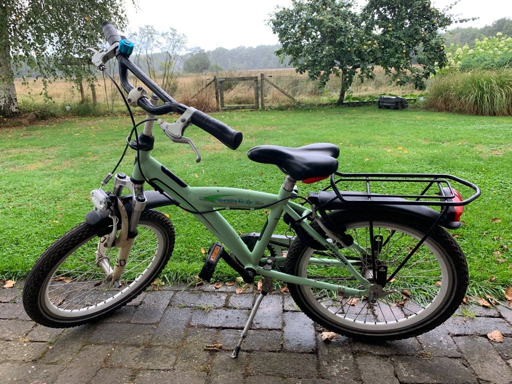 Kinderfiets Batavus - snake, wielmaat 20 x 1.85, Fietsen en Brommers, Ophalen, Gebruikt, Batavus, Terugtraprem