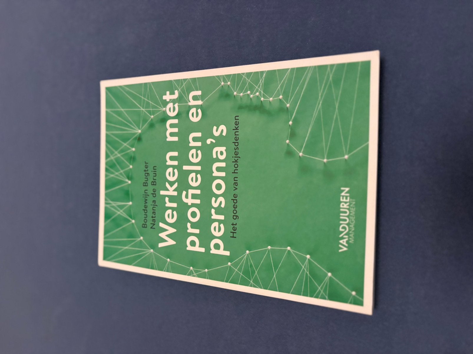 Werken met Profielen en Persona’s, Boeken, Ophalen of Verzenden, Zo goed als nieuw