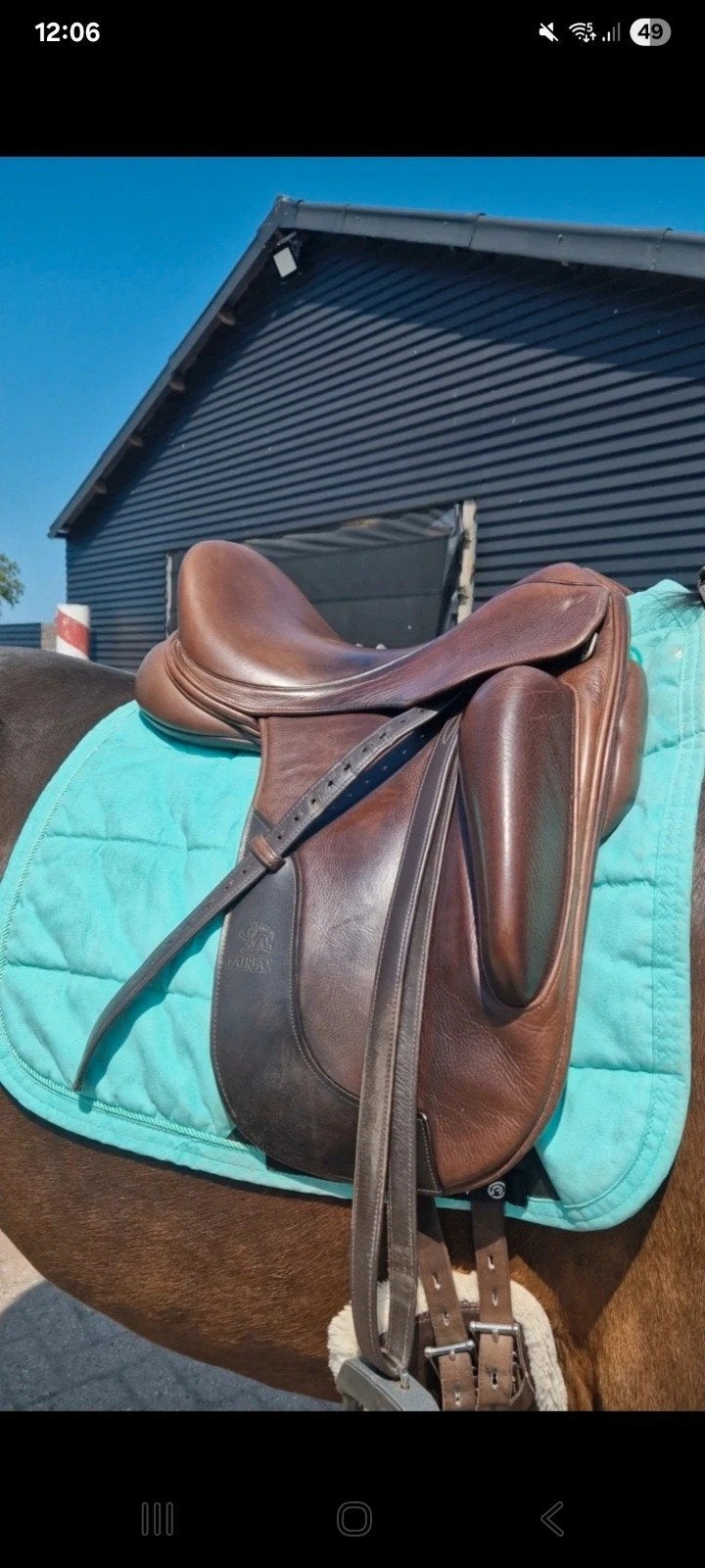 bruin fairfax, Dieren en Toebehoren, L (17.5 inch), Dressuur, Ophalen of Verzenden, Middel