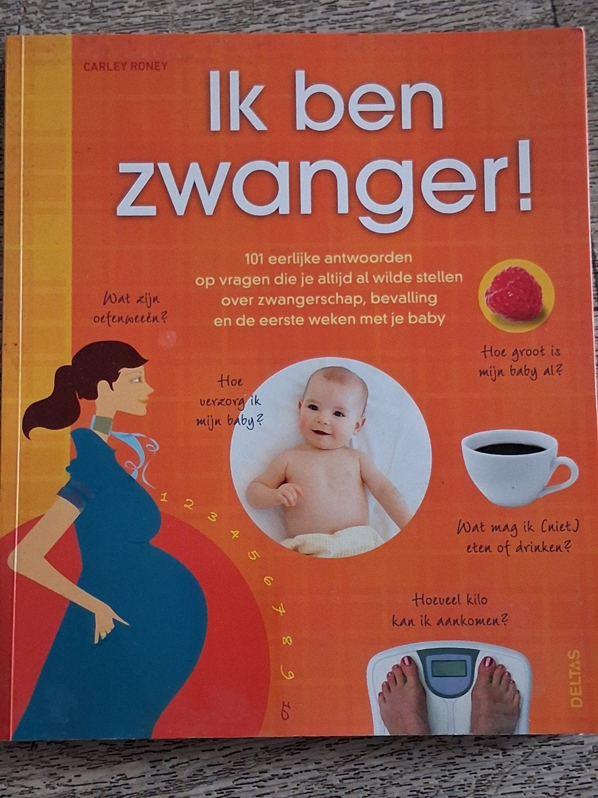 Ik ben zwanger! Boek over zwangerschap en bevalling, Boeken, Zwangerschap en Opvoeding, Ophalen, Zo goed als nieuw, Zwangerschap en Bevalling