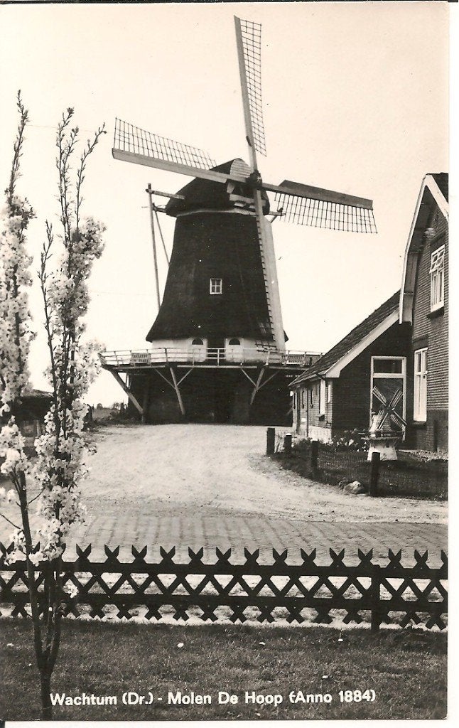 Ansichtkaart Molen De Hoop, Wachtum (Dr.) - Anno 1884, Ophalen of Verzenden, 1960 tot 1980, Ongelopen, Drenthe