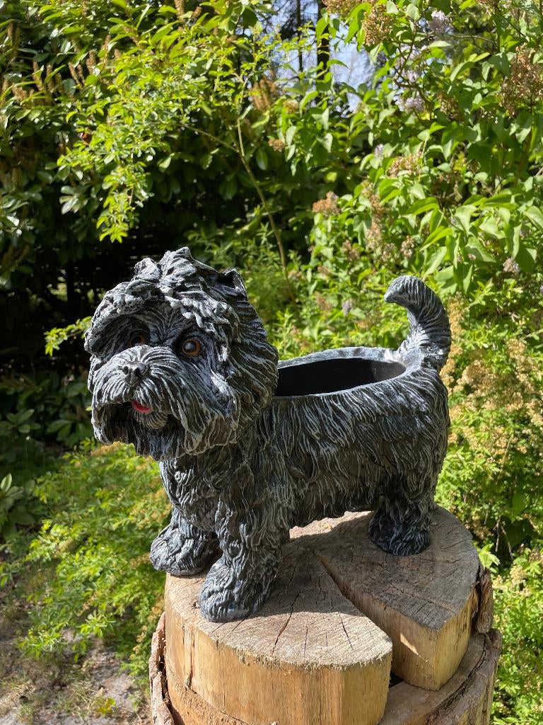 Beeld hond schnauzer plantenbak, tuin, gazon  45cm, Ophalen, Nieuw, Kunststof, Dierenbeeld