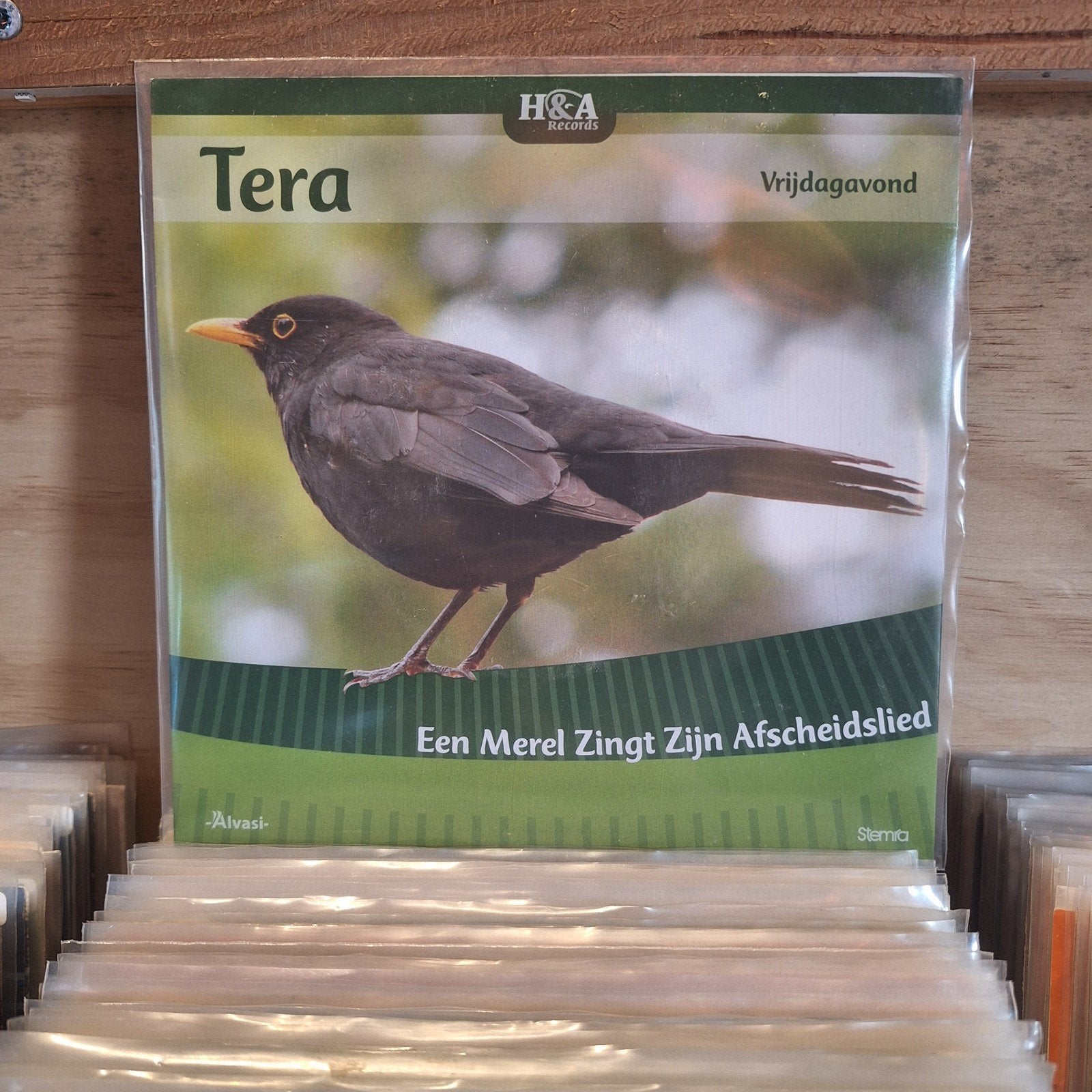 Tera-een merel zingt zijn afscheidslied, Cd's en Dvd's, Ophalen of Verzenden, Zo goed als nieuw, Overige formaten, Levenslied of Smartlap
