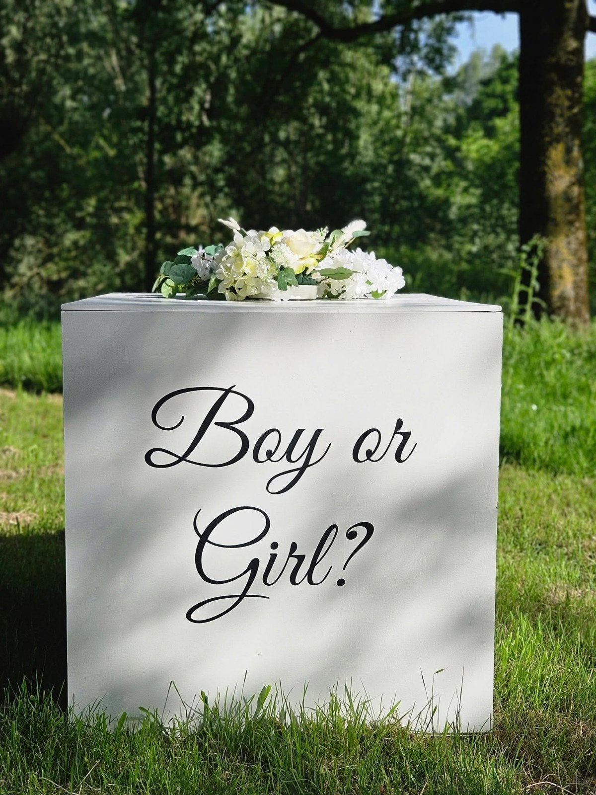 Genderrevealbox TE HUUR, Ophalen, Nieuw