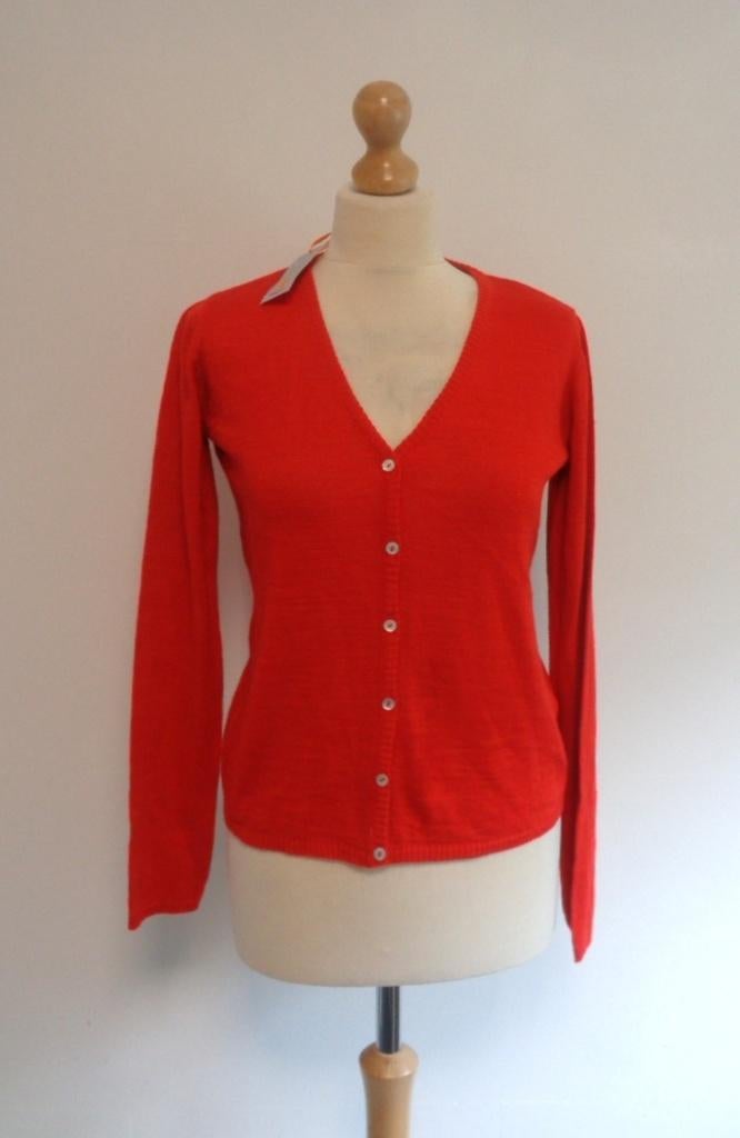 vest Who's that girl, Kleding | Dames, Who's that girl, Verzenden, Nieuw, Maat 36 (S)