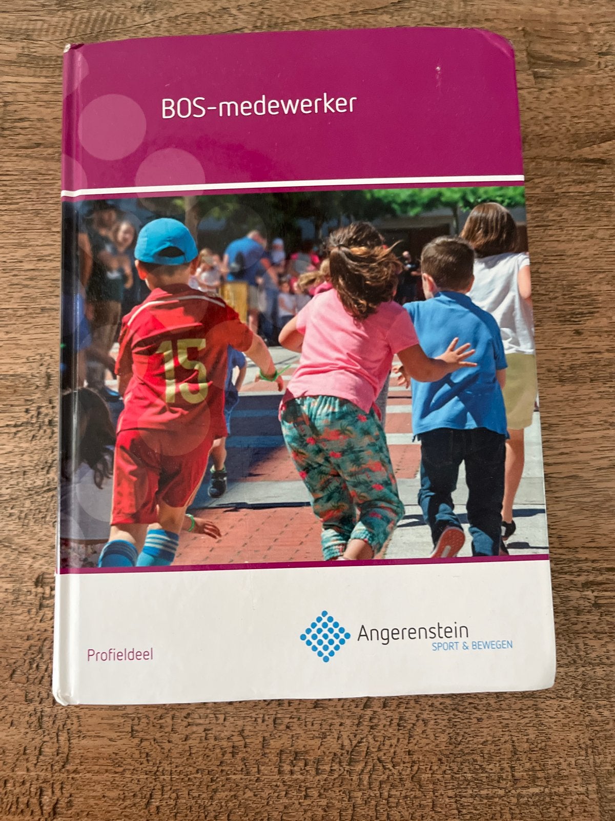 BOS-medewerker Profieldeel - Angerenstein Sport & Bewegen, Boeken, Ophalen of Verzenden, Zo goed als nieuw, MBO