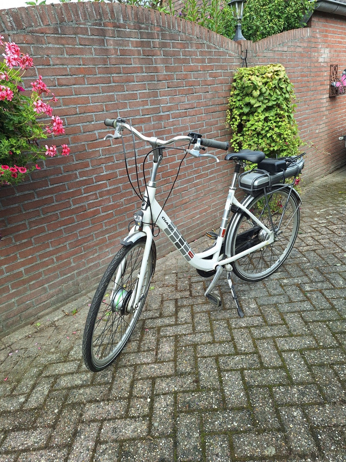 dames elektr. fiets giant, Fietsen en Brommers, Ophalen, Versnellingen, Giant, Trommelrem
