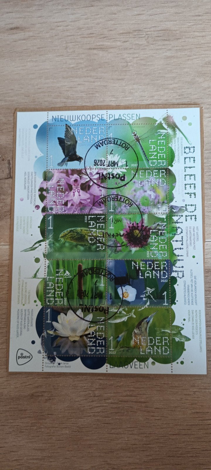 PRACHTIG VELLETJE BELEEF DE NATUUR GESTEMPELD OP PAPIER, Ophalen of Verzenden