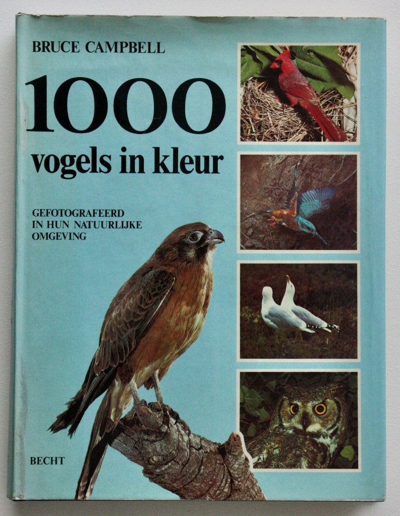 Bruce Campbell - 1000 vogels in kleur, Boeken, Ophalen of Verzenden, Zo goed als nieuw, Vogels