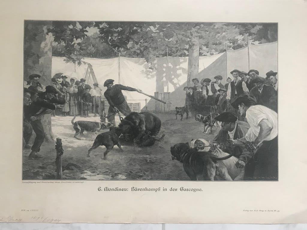 E. Mondineu: Bärenkampf in der Gascogne, 1896, 32x20cm. Mooi, Antiek en Kunst, Origineel, Dagelijks leven, 1800 - 1899, Ophalen of Verzenden